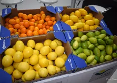 Kumquats  limequats en el stand de Inter Terra, del Grupo Medina.